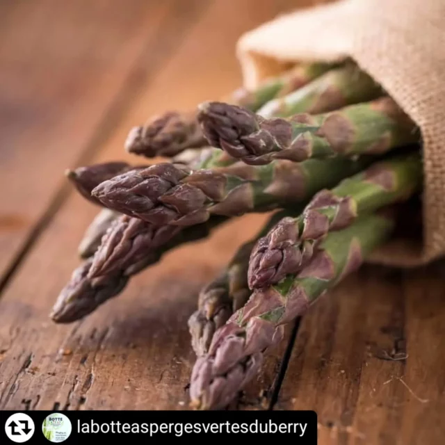 #Repost - @labotteaspergesvertesduberry by @get_regrammer
Ouverture ce matin 11h-12h30 sur notre site Vineuil
Bon dimanche

Les asperges sont misent à l’honneur en entrée, servies avec un oeuf parfait, pesto vert et copeaux de parmesan 

#asperges #locavore #produitsregionaux #restaurantamarys